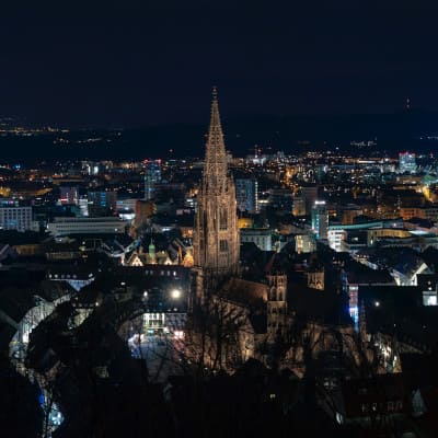 Freiburger Muenster bei Nacht